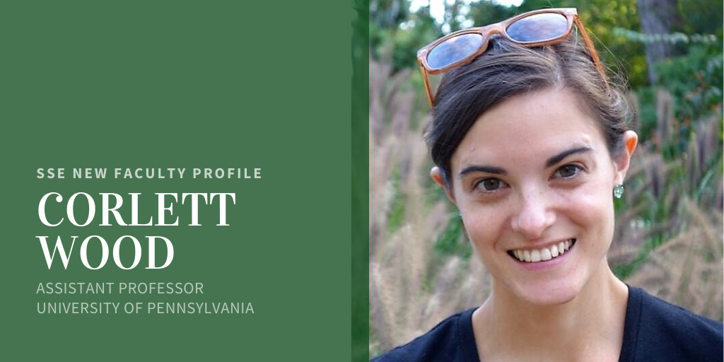 New Faculty Profile: Corlett Wood